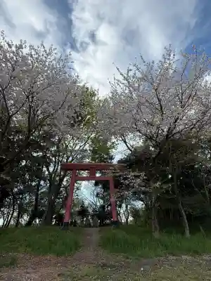 尾張猿田彦神社 奥宮の{uncategorized: "未分類", other: "その他", undefined: "問題あり", building: "その他建物", grave: "お墓", sacred_gate: "鳥居", guardian: "狛犬", statue: "像", buddha: "仏像", history: "歴史", nature: "自然", garden: "庭園", animal: "動物", pagoda: "塔", temizu: "手水舎", mountain_gate: "山門・神門", sanctuary: "本殿・本堂", subordinate: "末社・摂社", art: "芸術", scenery: "景色", jizo: "地蔵", ema: "絵馬", goshuin: "御朱印", omikuji: "おみくじ", items: "授与品その他", amulet: "お守り", goshuincho: "御朱印帳", eats: "食事", festival: "お祭り", votive_dance: "神楽", shichigosan: "七五三参", wedding: "結婚式", experience: "体験その他", initially: "初詣", around: "周辺", anti_infection: "感染症対策"}