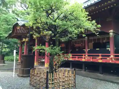 根津神社(東京都)