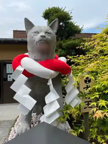 伊奴神社の狛犬