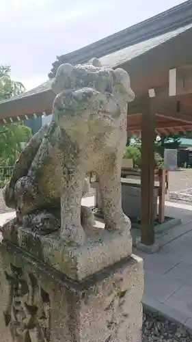 岡田神社の狛犬