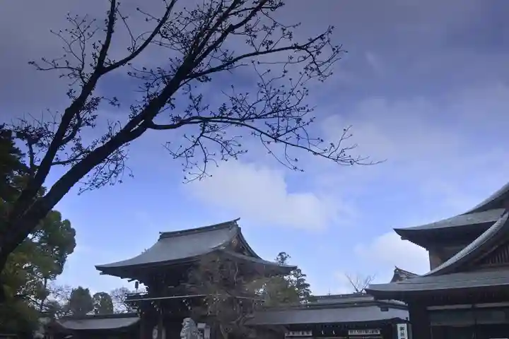 寒川神社(神奈川県)