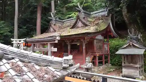 海神社の本殿