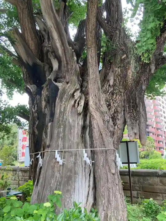 磐井神社(東京都)