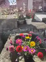 熊野福藏神社の自然