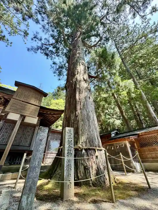 日枝神社(岐阜県)