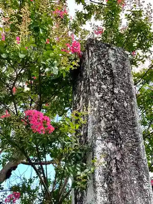 座光如来寺(元善光寺)の自然