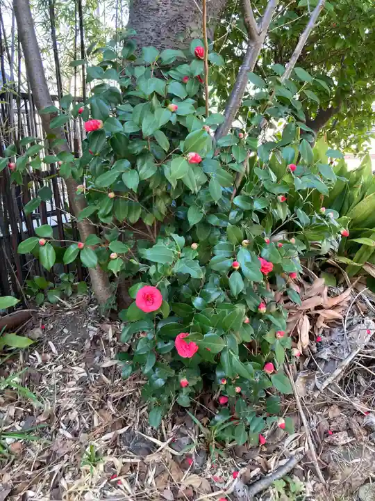厳島神社(神奈川県)