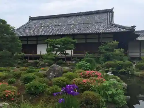 等持院の庭園