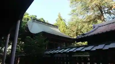 大宝八幡宮の本殿・本堂