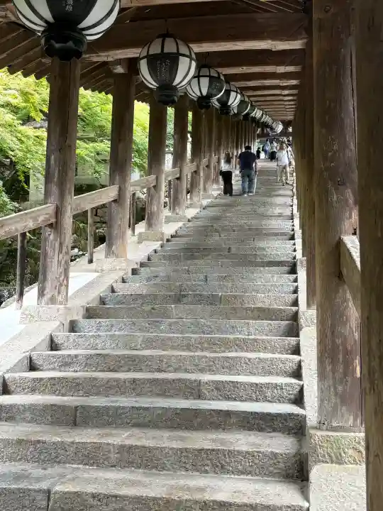 長谷寺(奈良県)