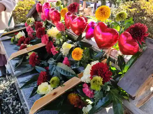 豊景神社の手水