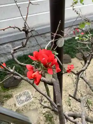 慈済寺(愛知県)