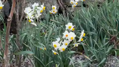 大林院(滋賀県)