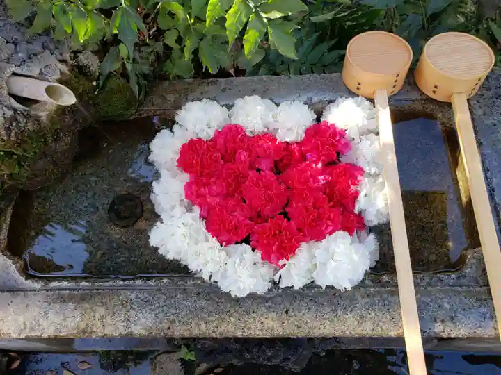 本郷氷川神社の手水舎