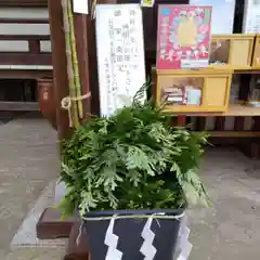 七重浜海津見神社の建物その他