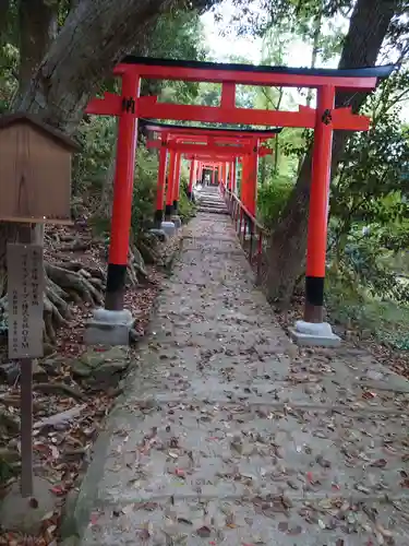 二葉姫稲荷神社の鳥居