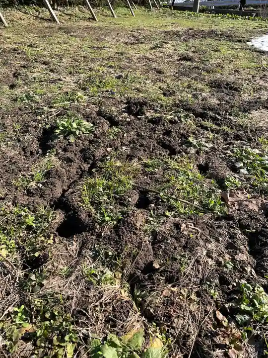 飯笠山神社(長野県)