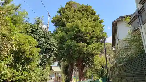 第六天社(千葉県)