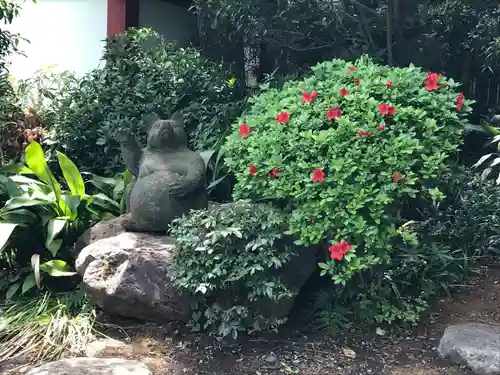 安養寺の狛犬