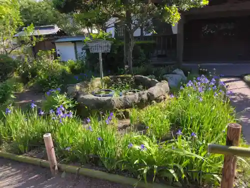 極楽寺（霊鷲山感應院極楽律寺）の歴史