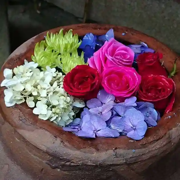 菅生神社の手水舎