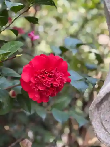 成子天神社(東京都)