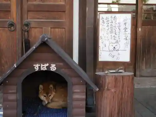 感通寺(東京都)
