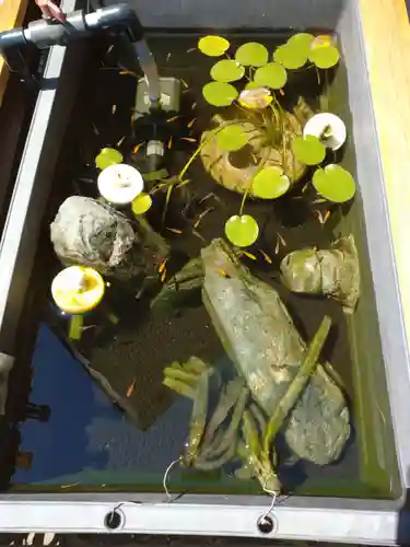 観音寺(福岡県)