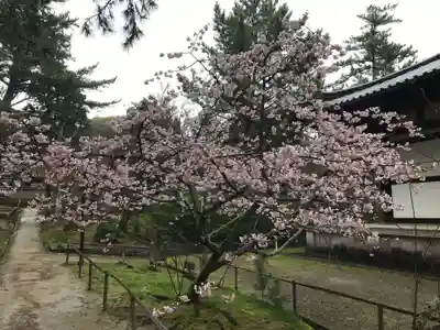 唐招提寺(奈良県)