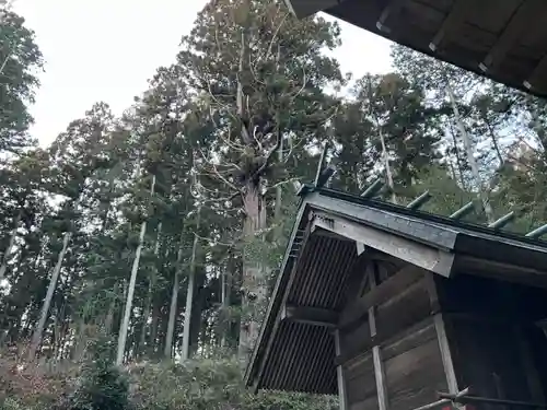 大宮温泉神社の本殿・本堂