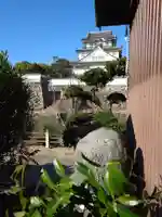 黒長龍王(大阪府)