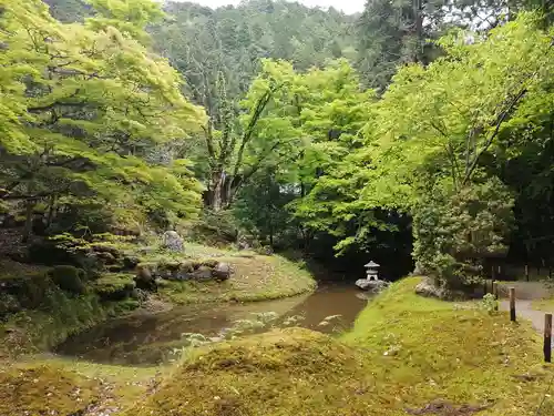 常照皇寺の庭園