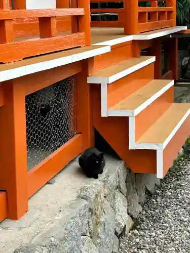 龍泉寺(愛知県)