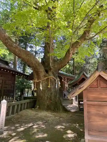 穂高神社本宮(長野県)