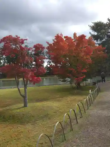 毛越寺の御朱印