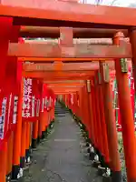 佐助稲荷神社の鳥居