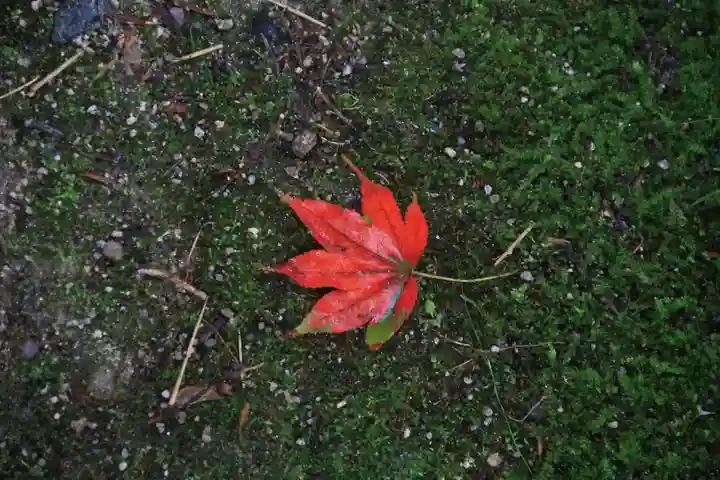 三春大神宮の自然
