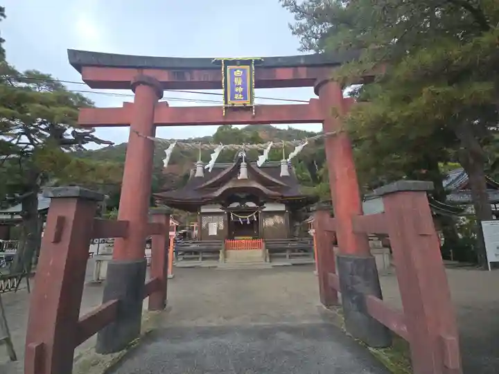 白鬚神社(滋賀県)