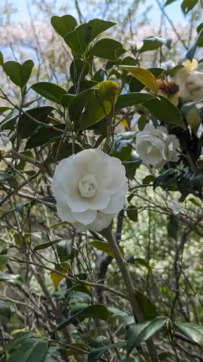 惠心院(京都府)