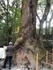 伊勢神宮内宮（皇大神宮）(三重県)