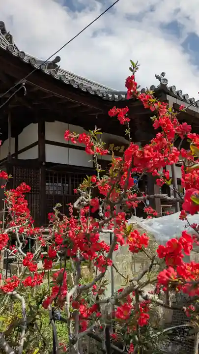惠心院(京都府)