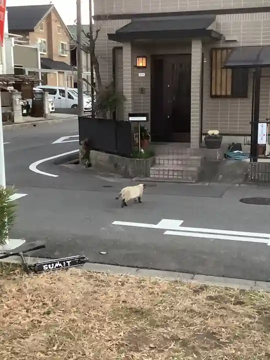 花長公園の社(仮称)の動物