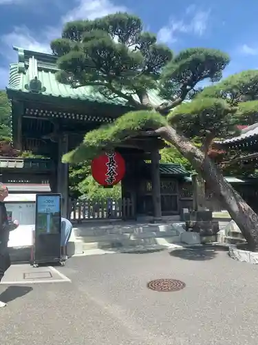 長谷寺の山門・神門