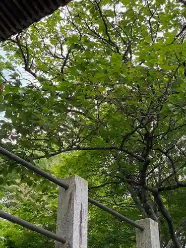 普賢寺(福島県)