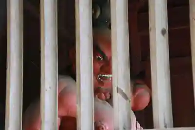 田村神社の山門・神門