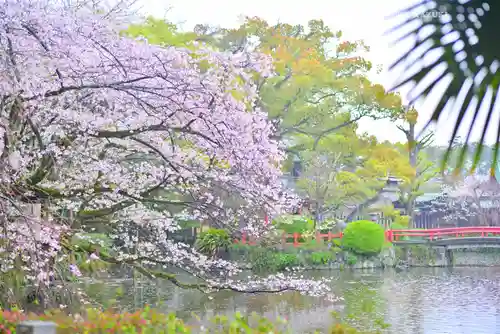 三嶋大社(静岡県)