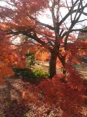 広壽山 福聚寺の自然