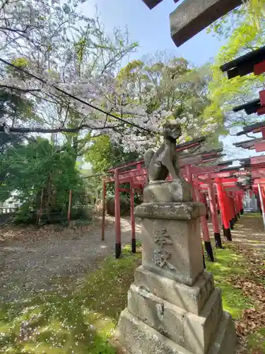 美濃輪稲荷神社の狛犬