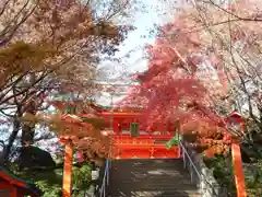 穴八幡宮の自然