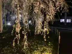 足羽神社の自然